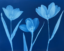 تحميل الصورة في عارض المعرض ، 'The Absent Blue' #4