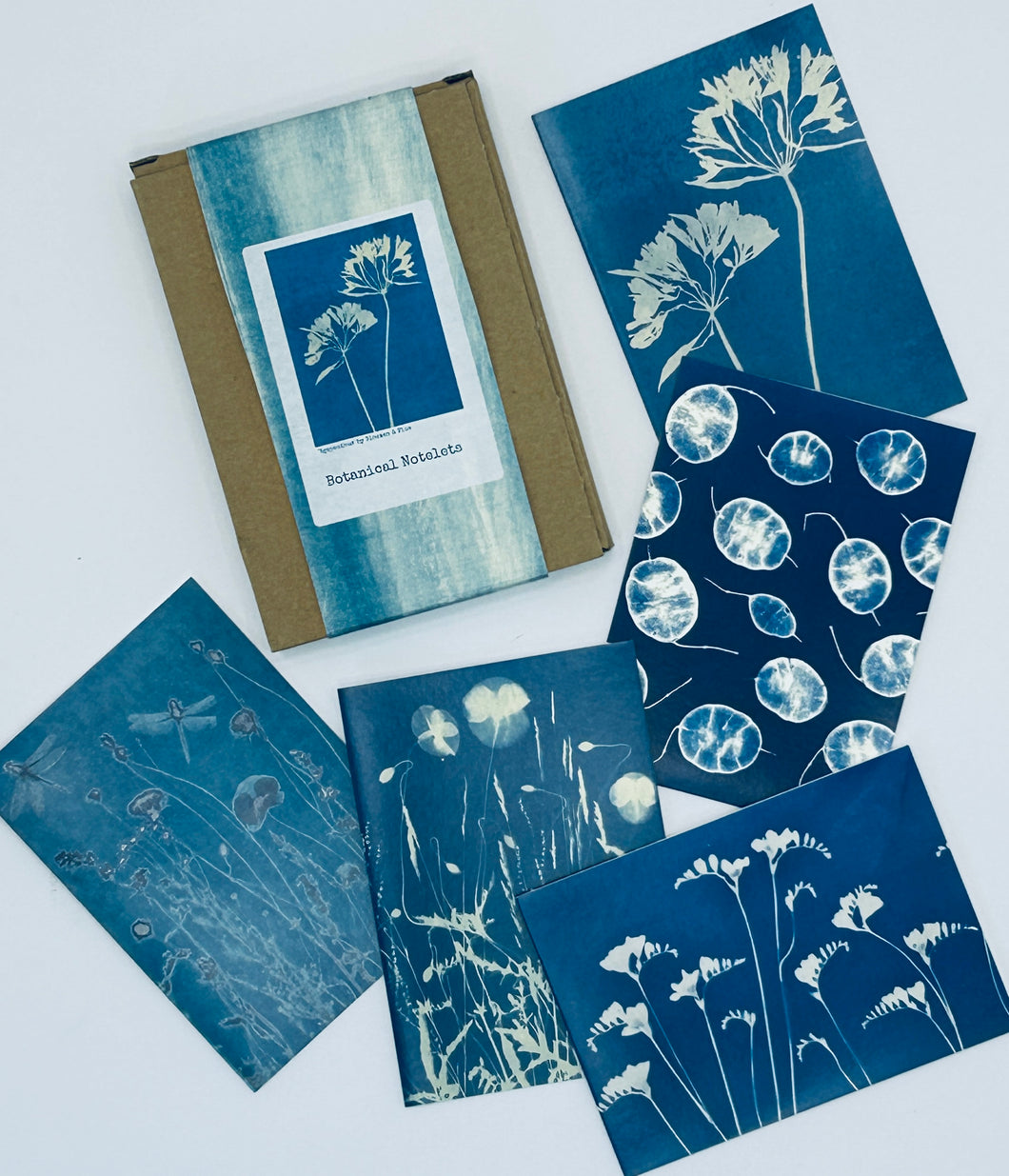 Box Set of Botanical Cards - Original Cyanotype Art by Bloemen & Blue