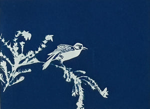 Super Second - Original Cyanotype Print - £10