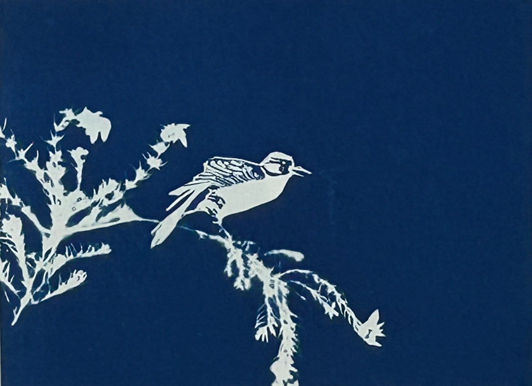 Super Second - Original Cyanotype Print - £10