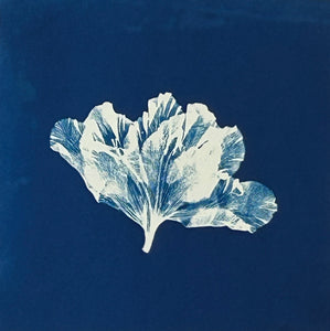 Super Second - Original Cyanotype Print - £10