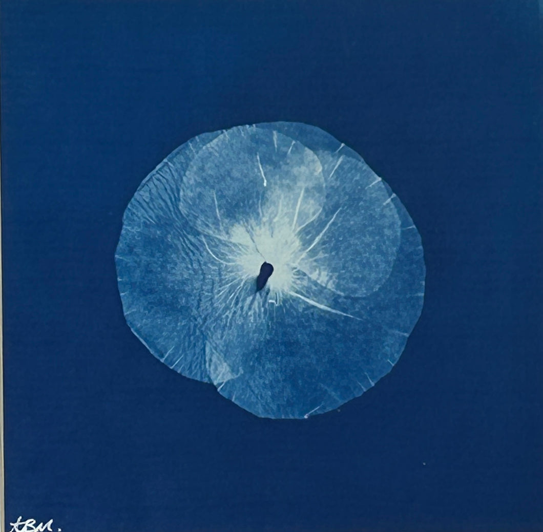 Super Second Original Cyanotype