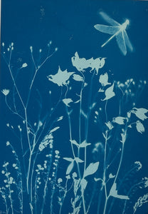 Super Second Original Cyanotype