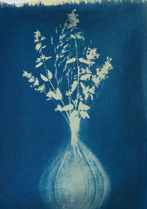 Super Second Original Cyanotype