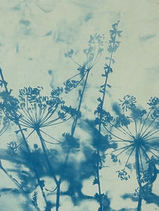 Super Second Original Cyanotype