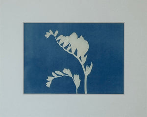 Super Second - Original Cyanotype Print - £10