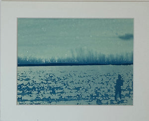 Super Second - Original Cyanotype Print - £10