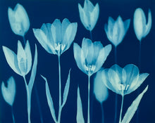 Charger l'image dans la visionneuse de la galerie, 'The Absent Blue' Triptych #2
