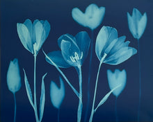 Charger l'image dans la visionneuse de la galerie, 'The Absent Blue' Triptych #2
