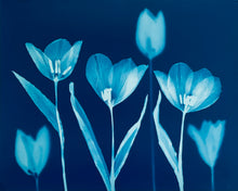 Charger l'image dans la visionneuse de la galerie, 'The Absent Blue' Triptych #1
