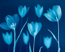 Charger l'image dans la visionneuse de la galerie, 'The Absent Blue' Triptych #1
