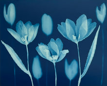 Charger l'image dans la visionneuse de la galerie, 'The Absent Blue' Triptych #1
