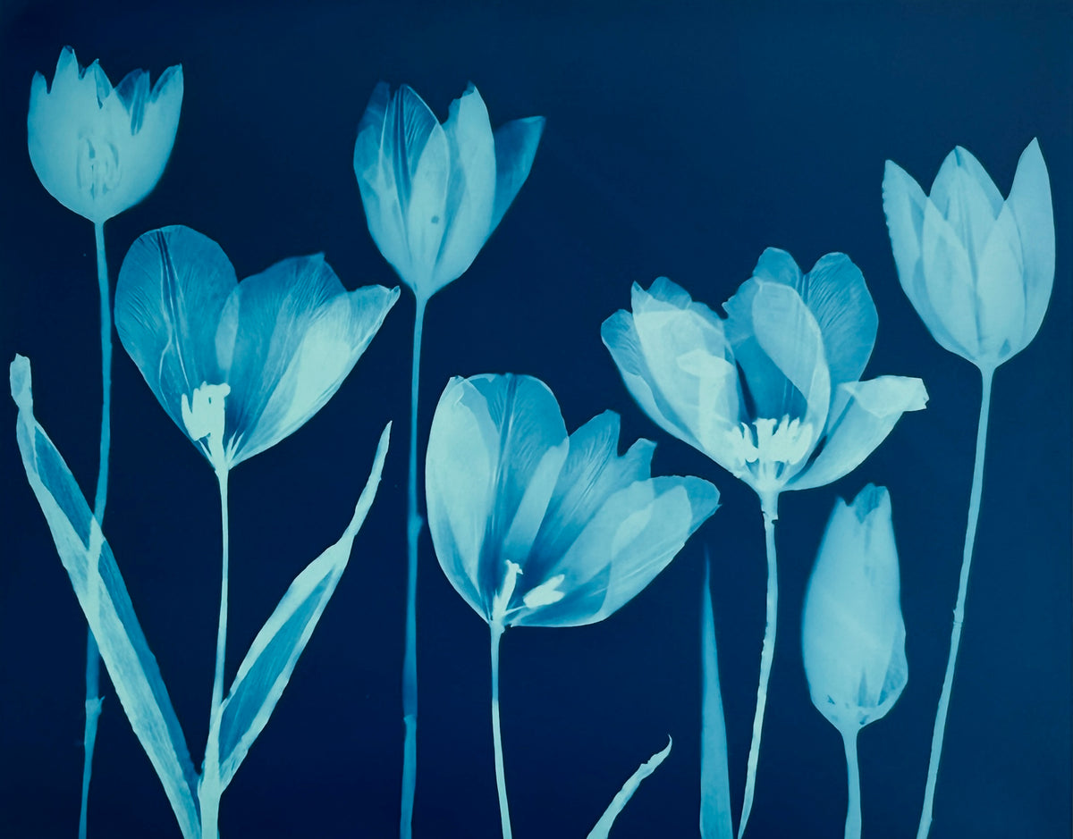 'The Absent Blue' #1-a – Bloemen & Blue