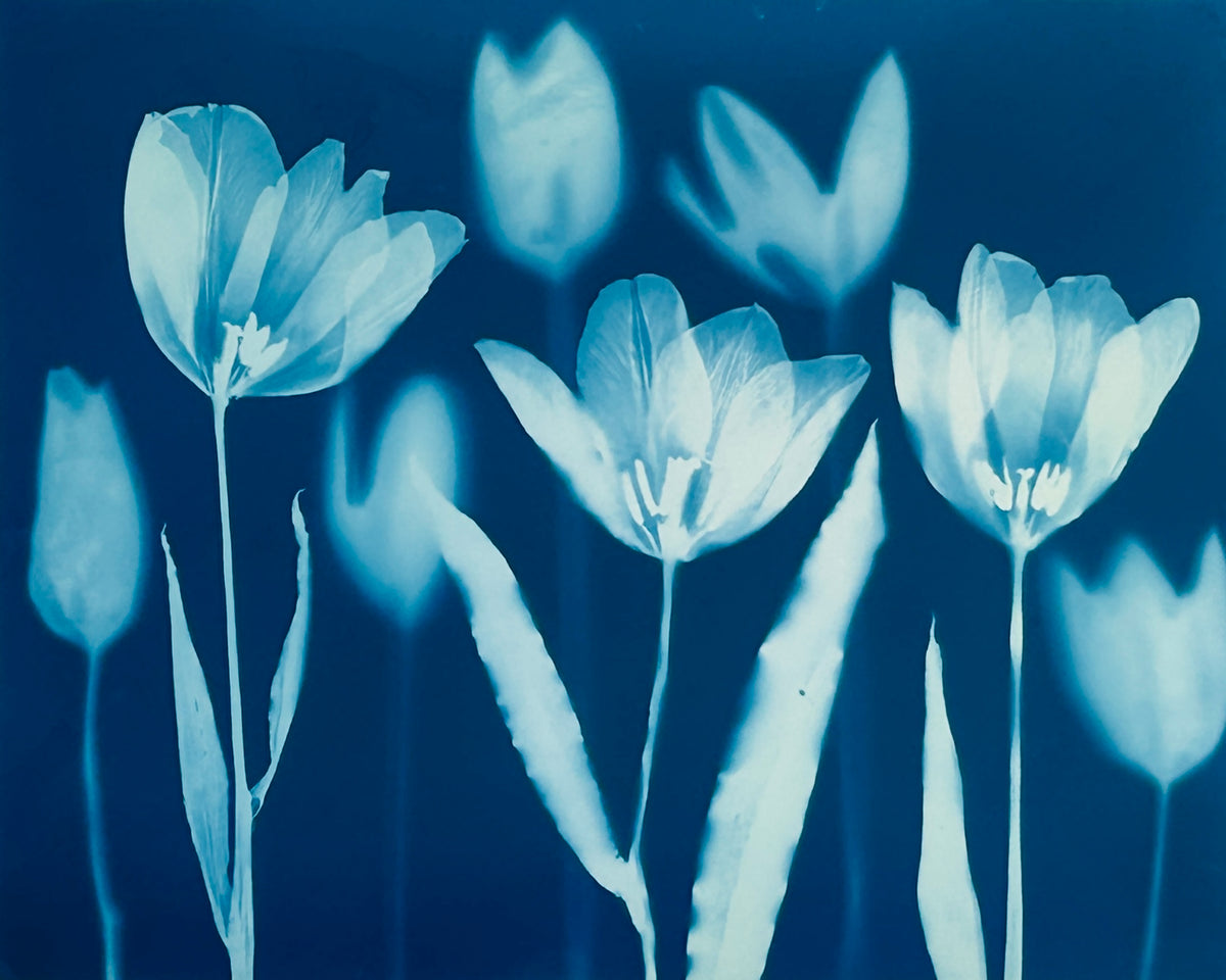 'The Absent Blue' #2-a – Bloemen & Blue