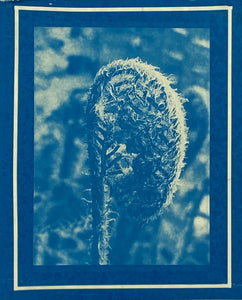 'Spring Rejuvenation'