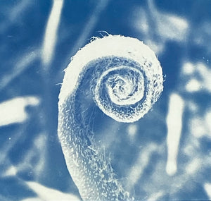 'Spring Unfurling'