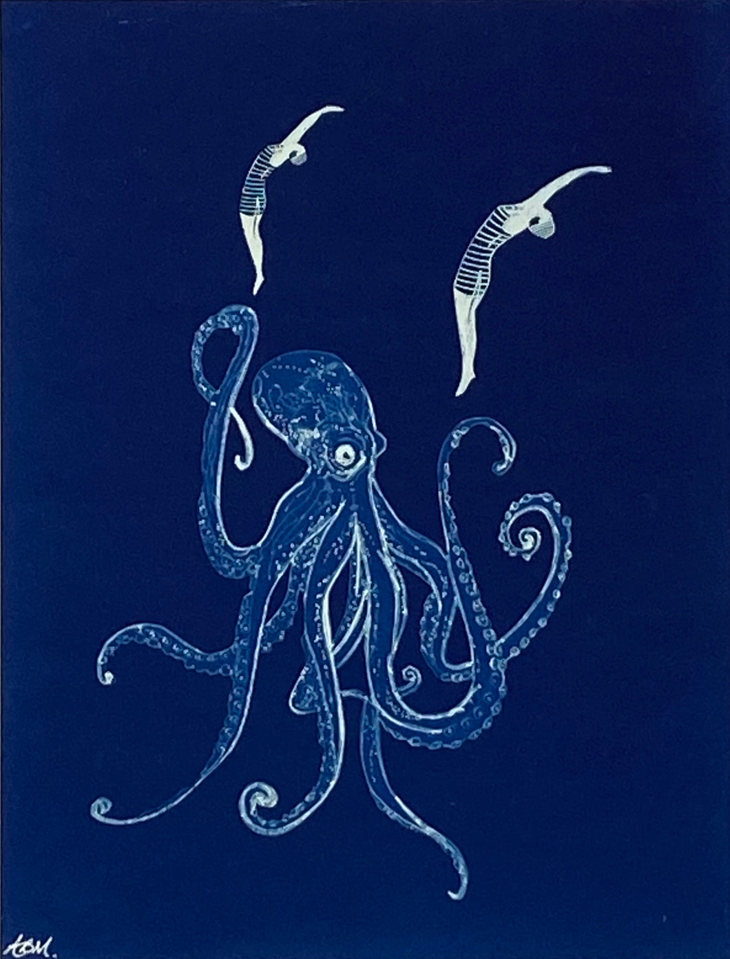 'Two swim with Octopus'