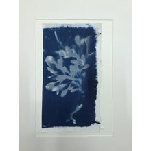 Загрузить изображение в средство просмотра галереи, &#39;Seaweed #1&#39;
